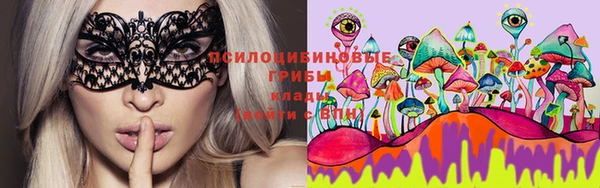 ГАЛЛЮЦИНОГЕННЫЕ ГРИБЫ Абинск