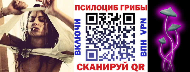 MEGA онион  Иноземцево  Псилоцибиновые грибы Cubensis  наркошоп 